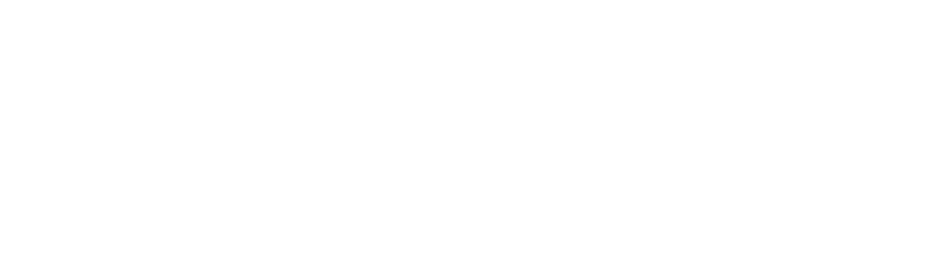 Baufenov logotip (2)